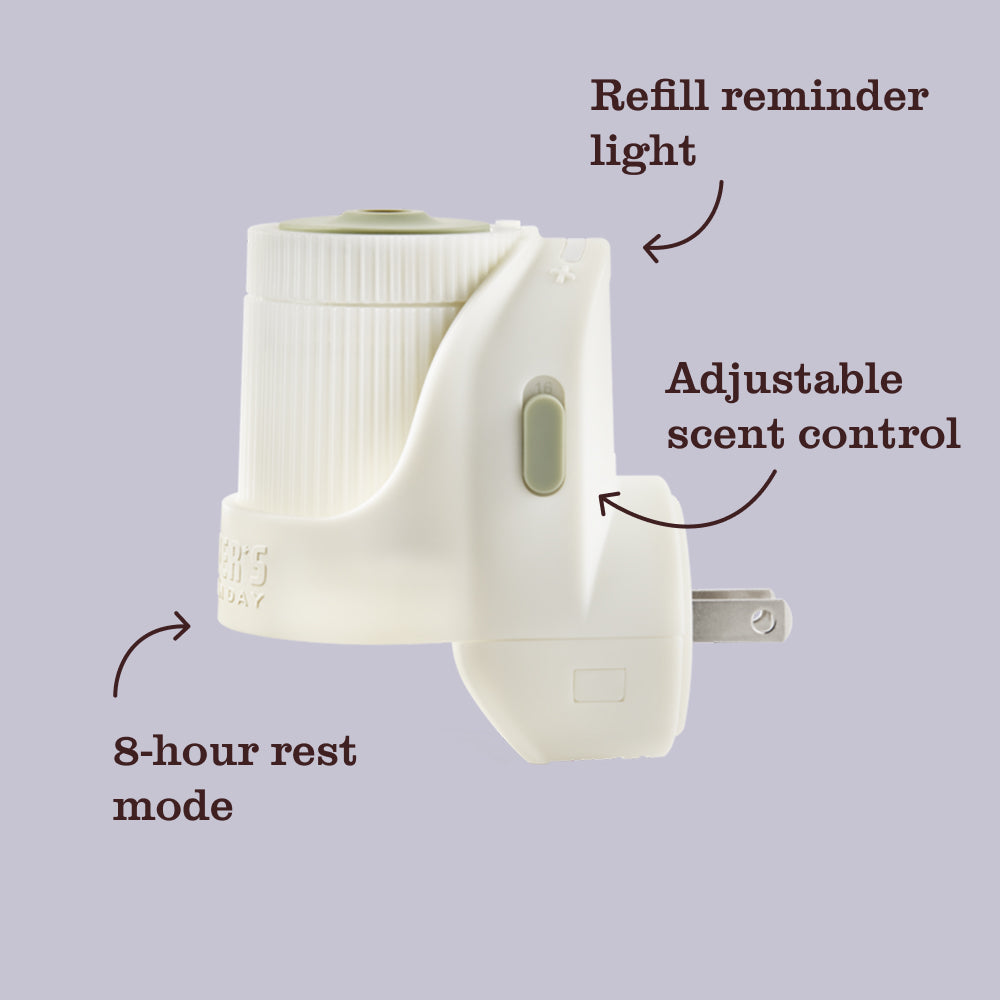 Acorn Spice Plug In Scented Oil Refill, 2-Pack