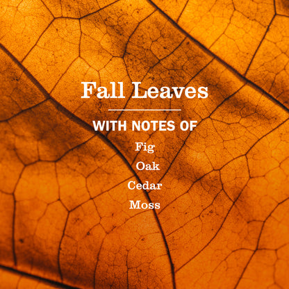 Fall Leaves Liquid Hand Soap 3-count Bundle
