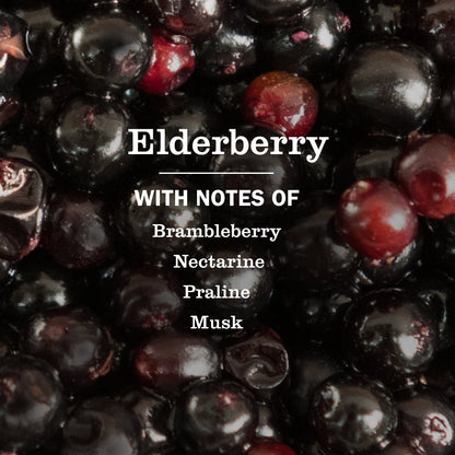 Elderberry Multi-Surface Everyday Cleaner