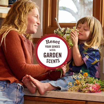 Apple Cider Liquid Hand Soap