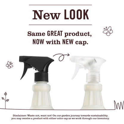 Acorn Spice Multi-Surface Everyday Cleaner
