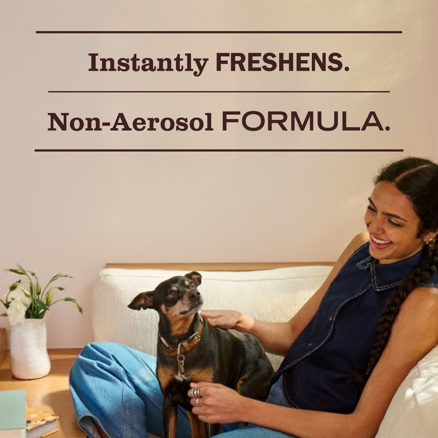 Acorn Spice Room Freshener