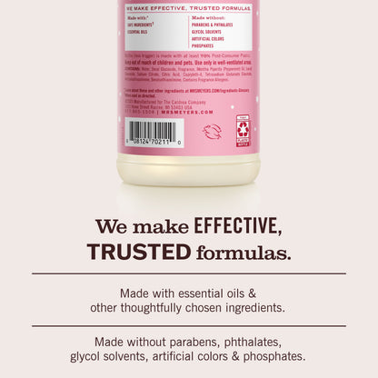 Peppermint Multi-Surface Everyday Cleaner 3-count Bundle