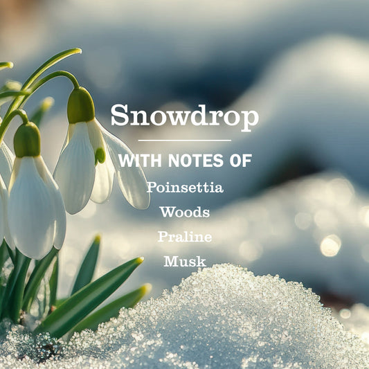 Snowdrop Liquid Hand Soap & Refill Set